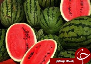 برگزاری جشنواره ملی هندوانه در قزوین