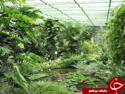 مزرعه پروانه  یکی از  جاذبه های مالزی + عکس /// در حال کار