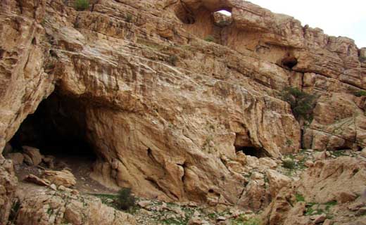 خفاش&zwnj;های غار دهلر&zwnj;ان عصای دست کشاورزان