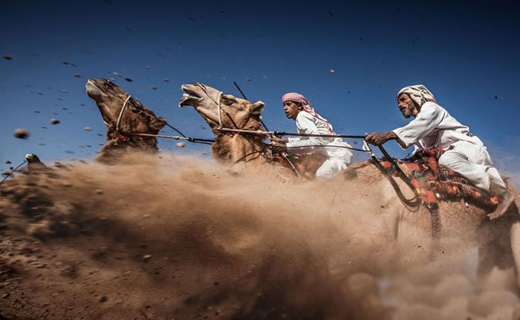 عکس های منتخب نشنال جئوگرافی 2015