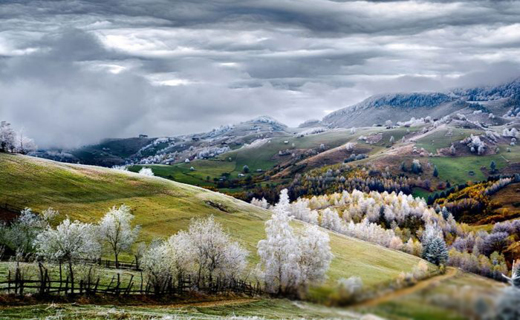 عکس های منتخب نشنال جئوگرافی 2015