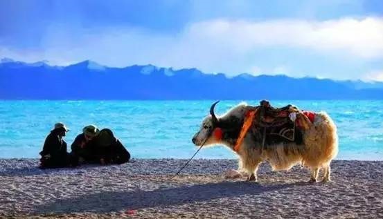 دریاچه ای به زیبایی چین + عکس  .//////در حال