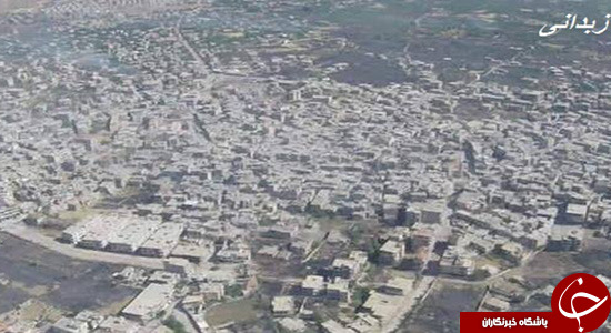 آیا زبدانی نفس می کشد؟