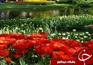 بهره برداری از طرح  تفرجگاه پارک ساحلی رودخانه خالکایی ماسال