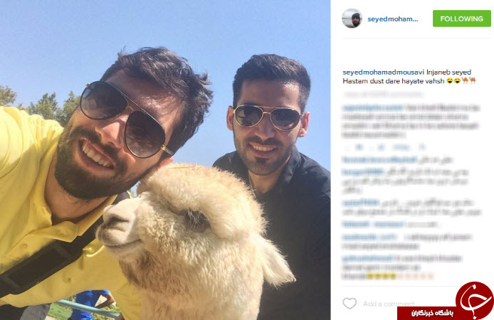سلفی جالب محمد موسوی و بچه شتر +عکس