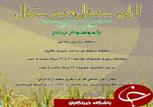 مسابقه عکاسی سبزجوکول در انزلی