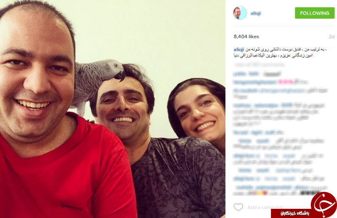 از تولد مردادی ها تا فندق علی اوجی