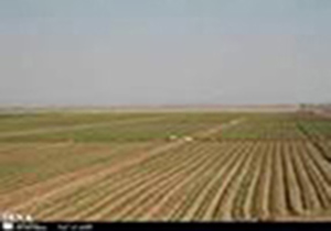 گشت های دولتی در 300هزار هکتار اراضی لرستان