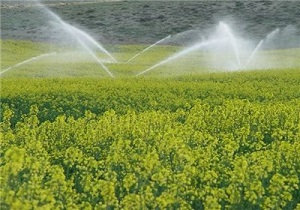 اجرای شبکه‌های ‌آبیاری نوین راهکار مقابله با بحران آب