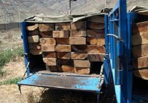 دستگیری 3 نفر از قاچاقچیان چوب و زغال در اردبیل