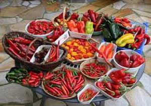 تاثیر شگفت انگیز غذای تند بر طول عمر