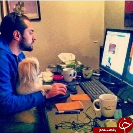 زندگی هاپوها و پیشی های پولدار تهران!