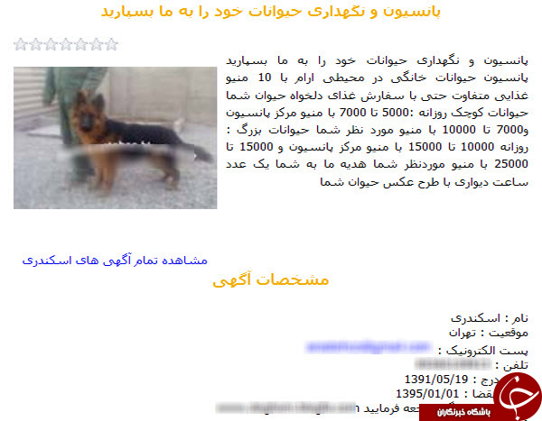 زندگی هاپوها و پیشی های پولدار تهران!