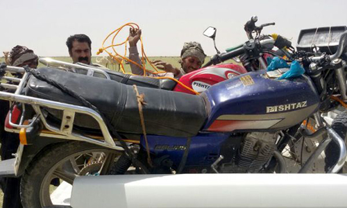 خروج ۴۶۰۰ شتر از مناطق حفاظت شده سیستان و بلوچستان + تصاویر