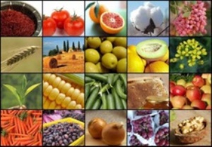 خرید بیش از 100 نوع محصول از کشاورزان خراسان جنوبی