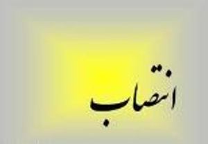 معارفه مدیر جدید مدیریت آموزش های آزاد و مجازی دانشگاه تبریز
