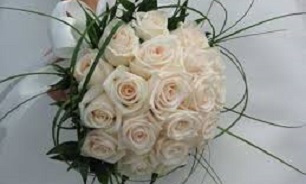 تازه عروس دست داماد را در پوست گردو گذاشت