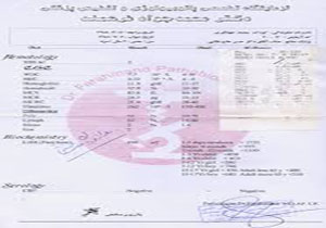 چگونه نتایج آزمایش را تفسیر کنید