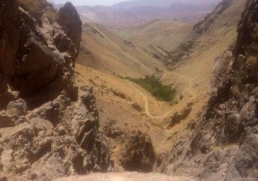 کشف 2 اسلحه غیرمجاز و اجزای بدن یک کل وحشی در شهرستان دماوند