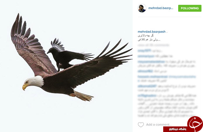 از سفر یهویی به کربلا تا کنایه بذرپاش و عشق محسن تنابنده