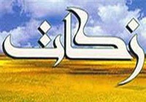 کل زکات جمع آوری شده در استان ایلام صرف کمک به نیازمندان شد