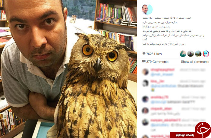 نیسبتدو