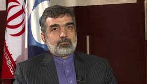کمالوندی: ایران غیر از برنامه صلح آمیز هسته&zwnj;ای برای رفاه مردم هدفی دیگری را دنبال نمی کند.