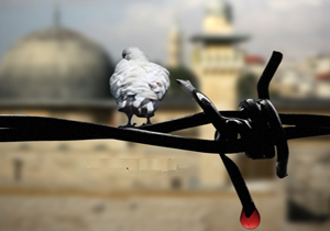 سکوت شورای حقوق بشر، بانی تشنج در جهان