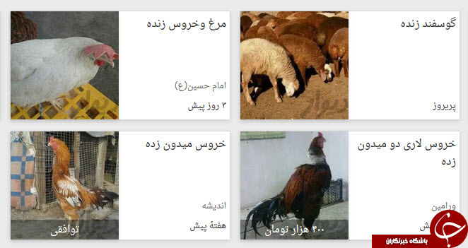 لوکس فروشی در بازار کهنه فروشان اینترنتی +فیلم