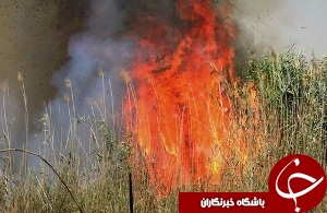 هورالعظیم با آتش سیراب شد