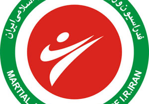 حمید گلی پور عضو شورای راهبردی فدراسیون ورزش‌های رزمی شد