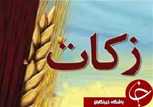 رشد 37 درصدی پرداخت زکات در استان قزوین