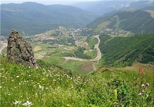 حیرت از پرونده حیران