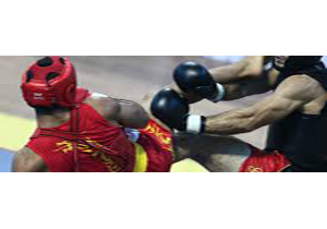 ملایر نایب قهرمان مسابقات ووشوی کشوری شد