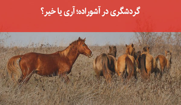 گردشگری در جزیزه آشوراده فرصت یا تهدید؟