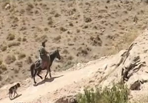 محیط بان اسب سوار + فیلم