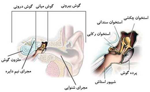 پسربچه ای ناشنوا برای اولین بار صدای اعضای خانواده اش را شنید + تصویر
