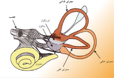 پسربچه ای ناشنوا برای اولین بار صدای اعضای خانواده اش را شنید + تصویر