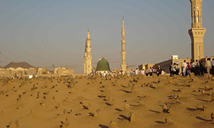 تخریب بقیع برای تخریب قبر پیامبر (ص) + صوت