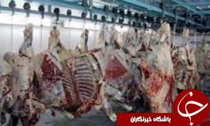 کشف و ضبط 255 کیلوگرم گوشت قرمز