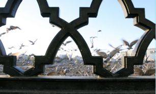 قبرستان بقیع پیش از تخریب اینگونه بوده است + تصاویر و مداحی جدید میثم مطیعی