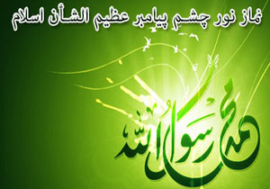امت من چهار گروه هستند