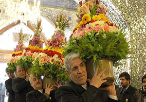 گلهای تبرک شده ضریح ،هدیه به نمازگزاران صبحگاهی آستان مقدس علی ابن موسی الرضا(ع)