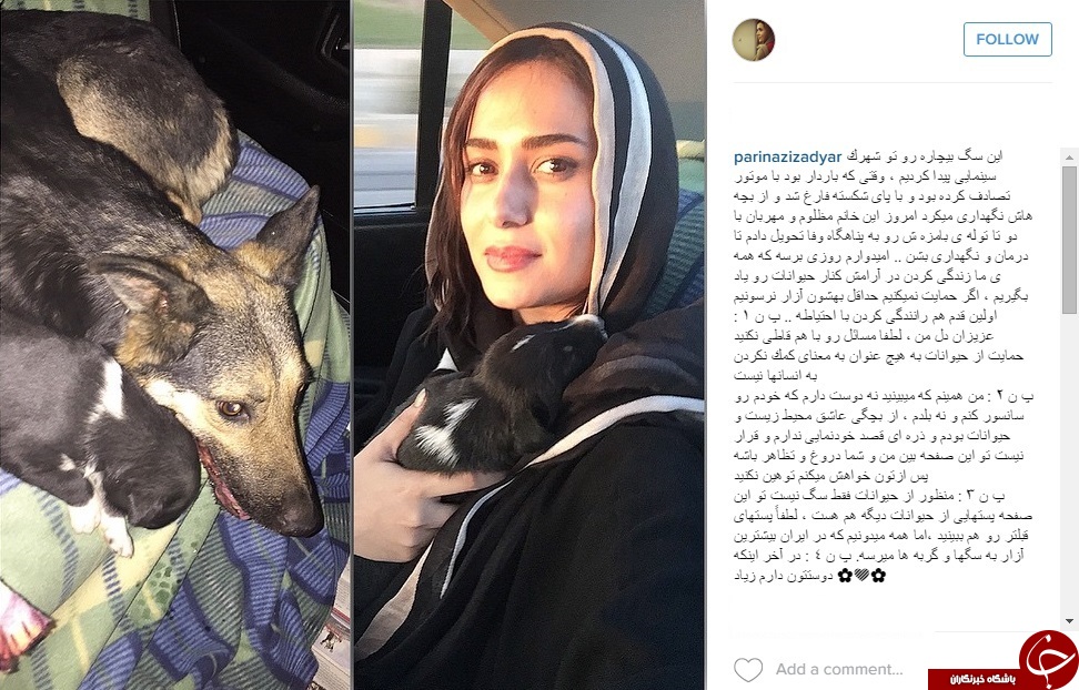 حمایت از حیوانات به سبک بازیگر معروف + عکس