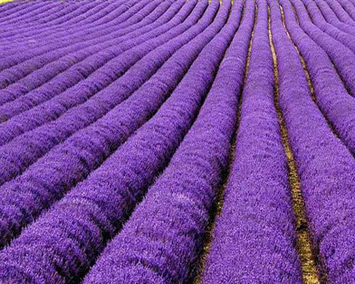 عکس های جذاب از مکان های زیبای دنیا