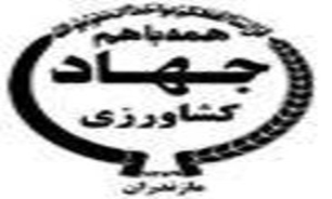 احداث کانال بتنی در روستاهای بخش لاله آباد