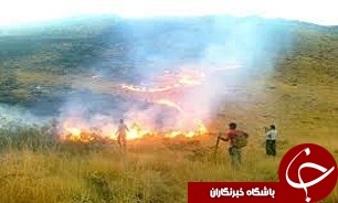 آتش سوزی در اراضی شهرستان قزوین