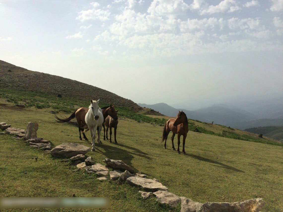 جاذبه های دیدنی ارسباران