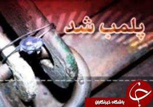 پلمپ قصابی در دزفول
