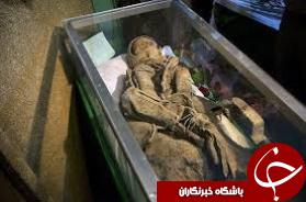 دست بسته ها بال و پر می گشایند